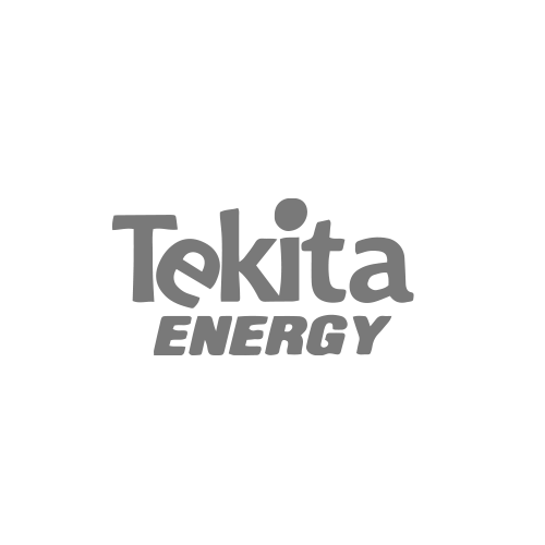 logo_TE